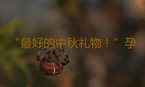 “最好的中秋礼物!”孕妇在服务区突然临盆,汕梅高速紧急救助